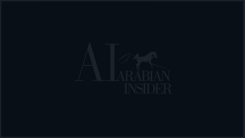 KIAHF - KATARA - ARABIAN HORSE AUCTION - DOHA - QATAR - KATARA INTERNATIONAL ARABIAN HORSE FESTIVAL - QATAR FOUNDATION