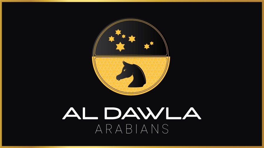AL DAWLA ARABIANS AUSTRALIA ARABIAN HORSE