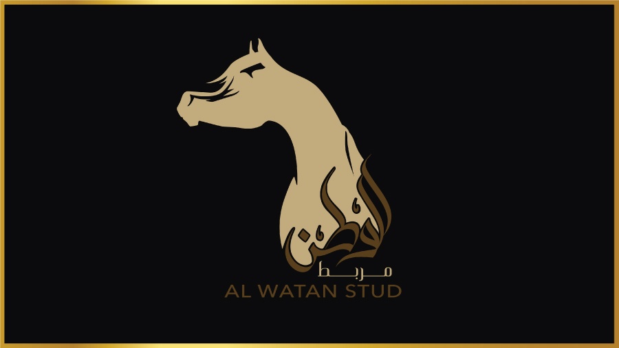 AL WATAN STUD SAUDI ARABIA ARABIAN HORSE
