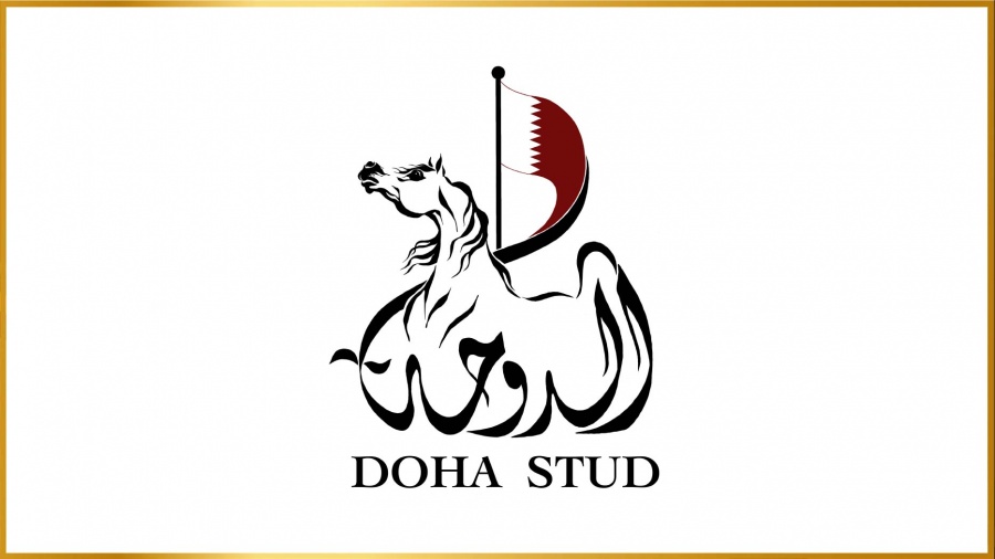 DOHA STUD