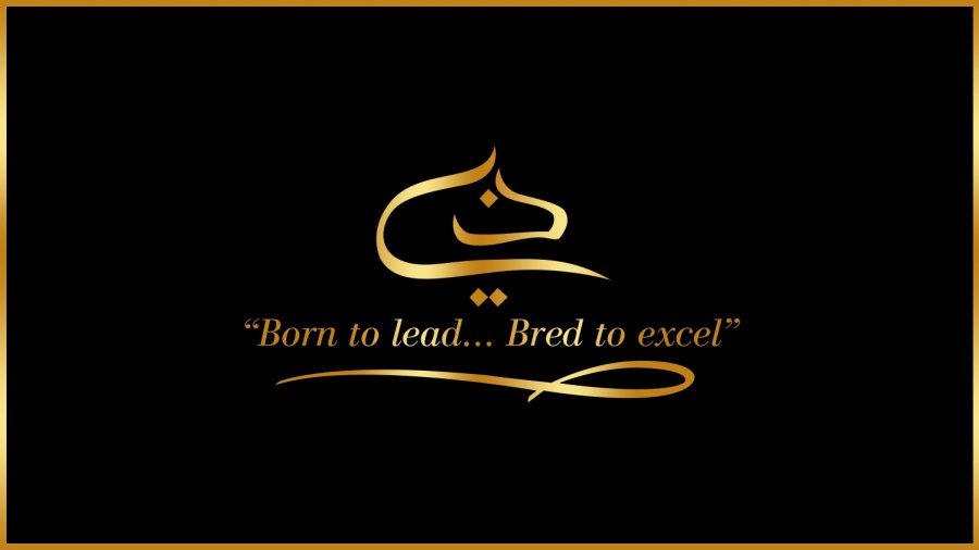 Dubai Arabian Horse Stud logo