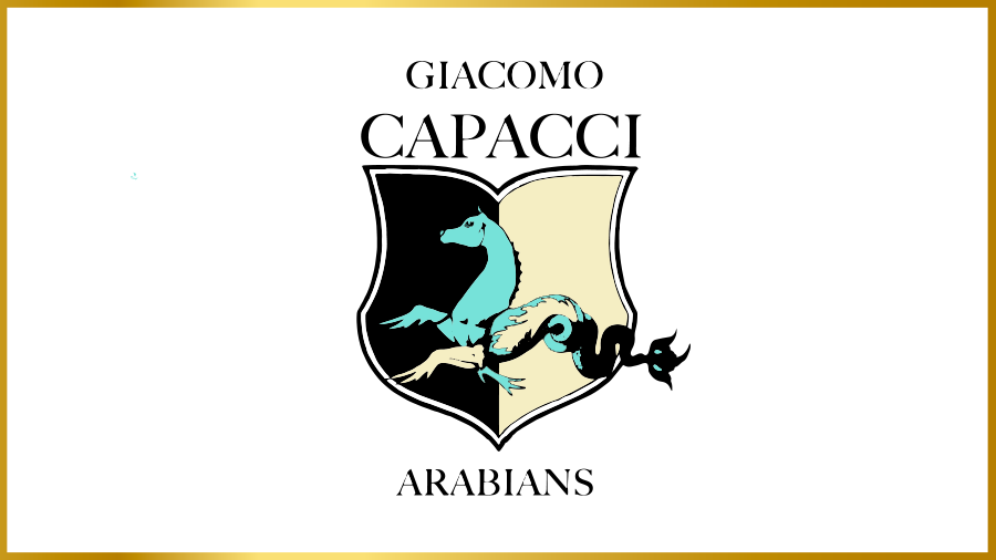 Giacomo Capacci Arabians