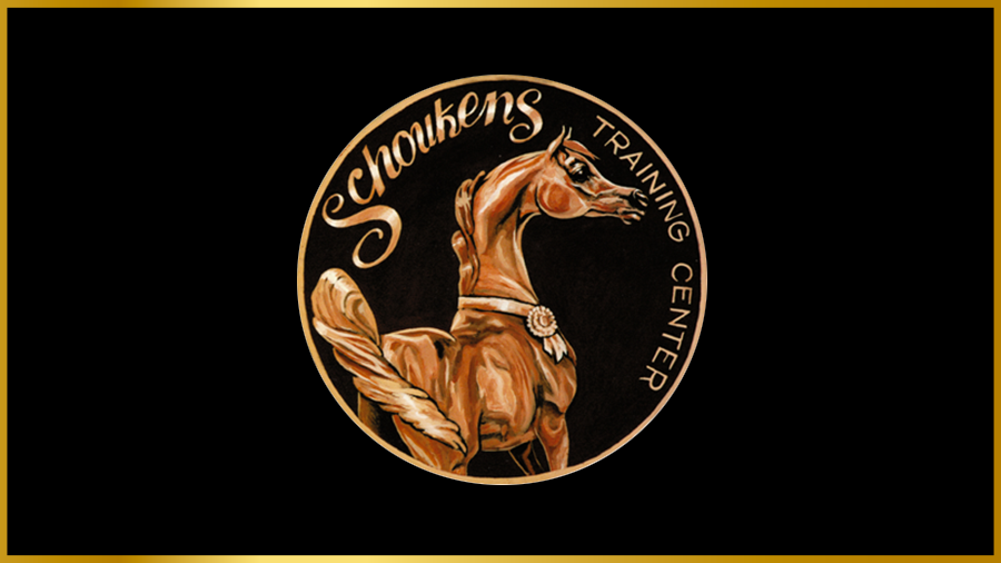 Schoukens Training Center logo