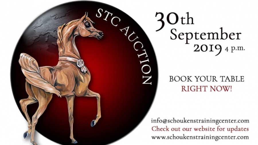 STC Auction 2019
