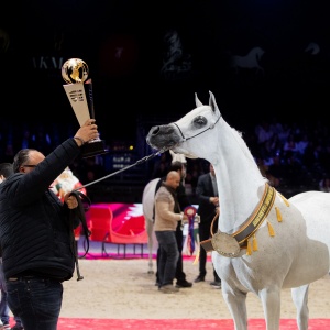 BAVIERA HVP WORLD CHAMPION PARIS